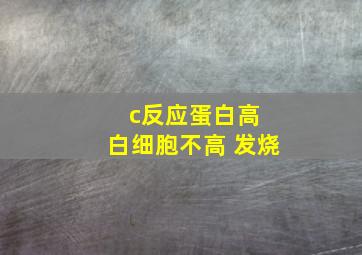 c反应蛋白高 白细胞不高 发烧